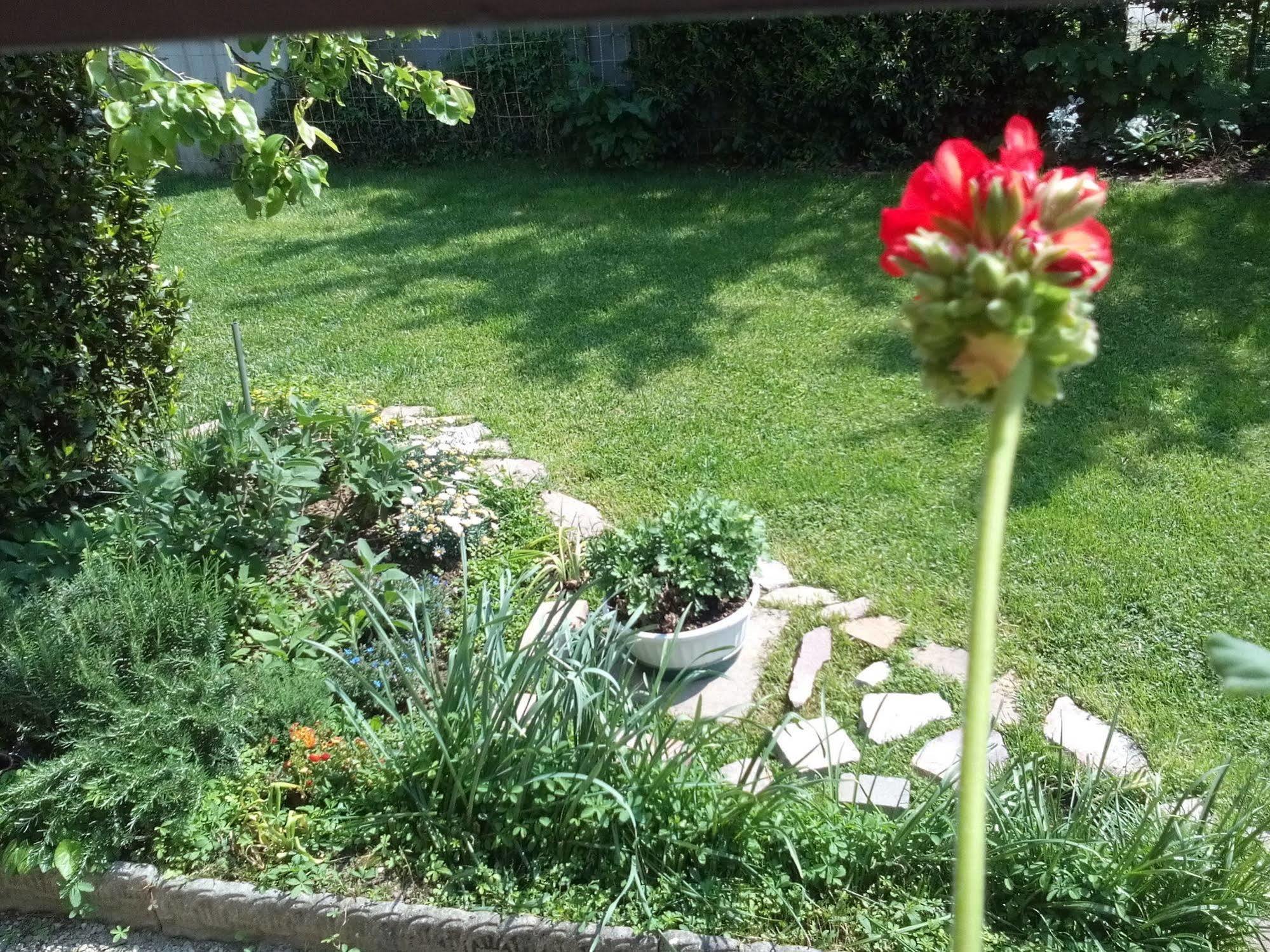 Casa Emanuela Bed and Breakfast Piazzola sul Brenta Exteriör bild